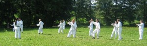 aikidogruppewiese